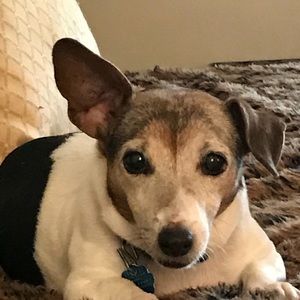 Meet your Posher, Joan